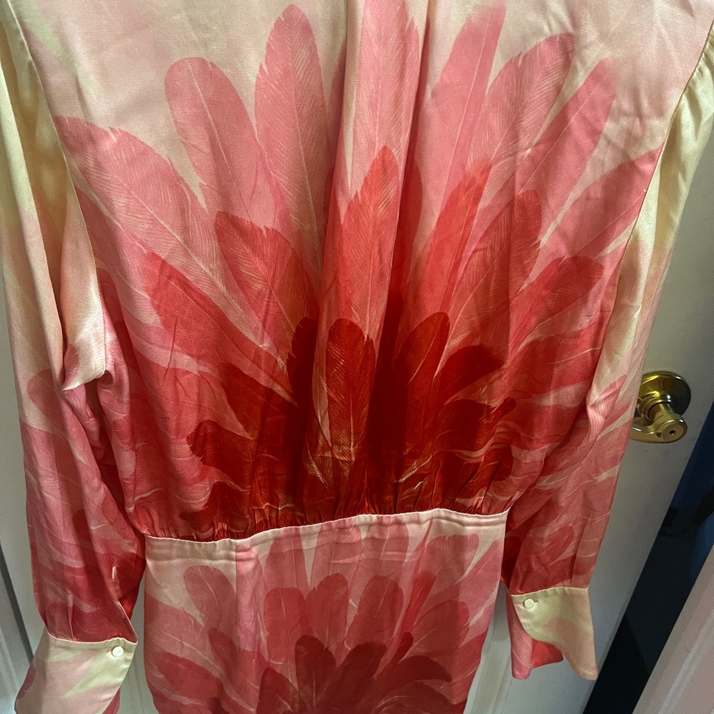 Alexis Vento dress red feathe
